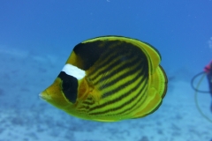 BB94A723-7FD2-4102-B118-5D9D05231D4B