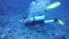 6213DF51-3AB2-44E3-895D-FB718CF0330F