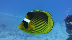 BB94A723-7FD2-4102-B118-5D9D05231D4B
