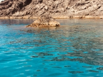 Klares Wasser