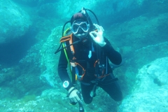 DSCI0672