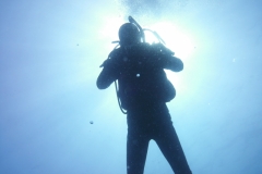 DSCI0739