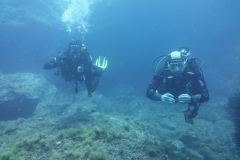 DSCI0765
