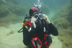 DSCI0815