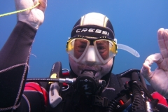 DSCI0838