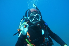 DSCI0841